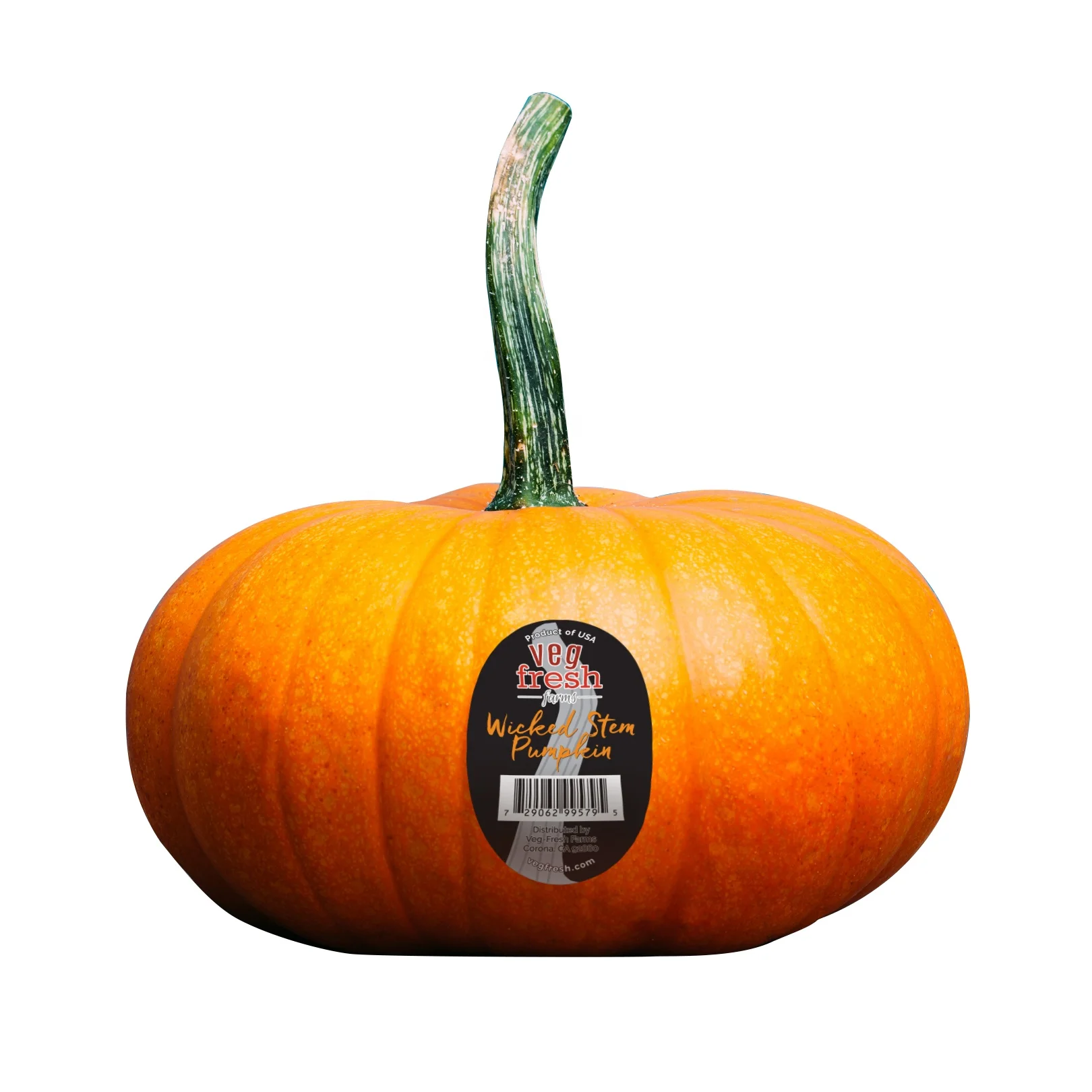 Hot Sale Best Quality Fresh Pumpkins at Lower Price