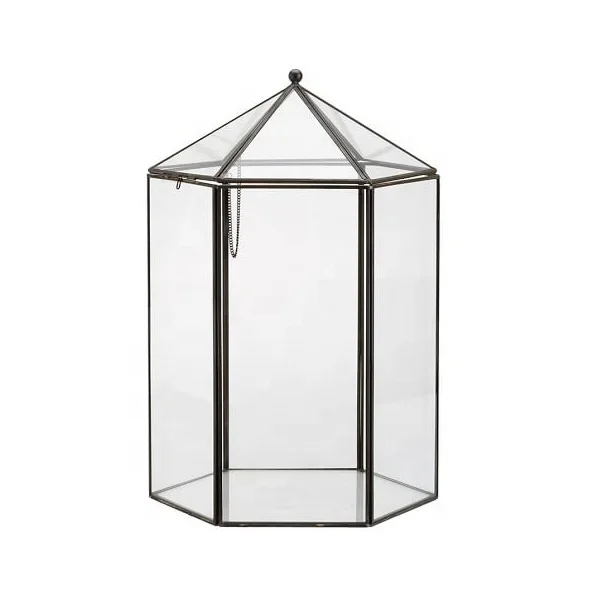 Elegant Design For Home Decoration Cage Bonsai Terrarium For Succulent Plant Handicraft Supplier From India