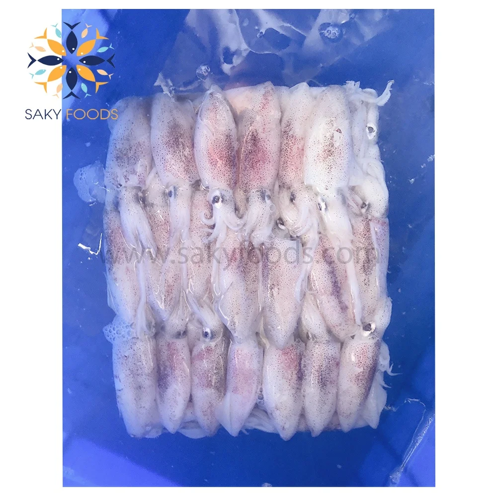 Frozen Seafood Black Whole Loligo Squid