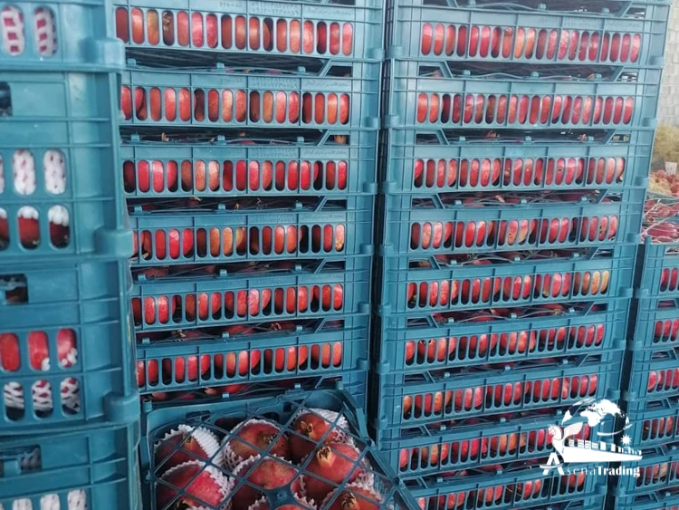 Trusted professional partner Fresh Red Sweet Pomegranate Fresh Red Pomegranates Wholesale Fresh Pomegranates