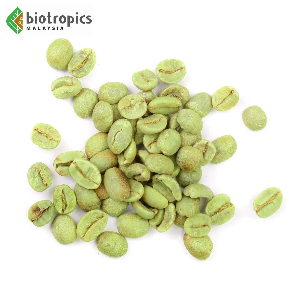 Собственная Марка OEM малайзийская пищевая добавка готовая формула с 3 травами в овощных капсулах для похудения и потери