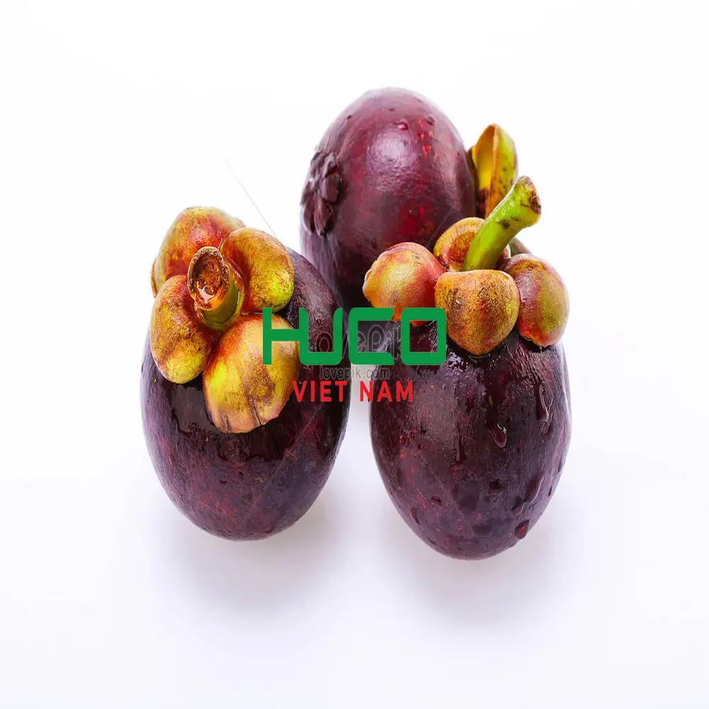 FESH MANGOSTEEN FRUIT from VIETNAM with HIGHEST QUALITY at CHEAPEST PRICE