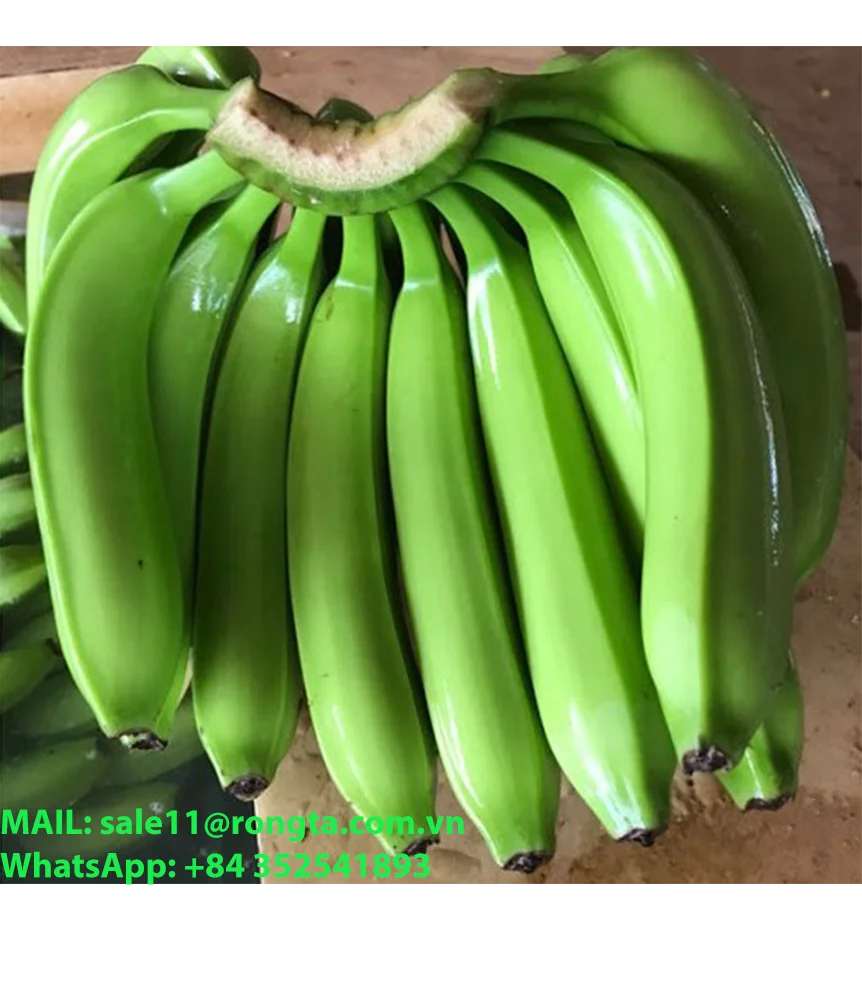 Wholesale Partners Wanted: Fresh Cavendish Bananas - Top-Quality Export Products Worldwide