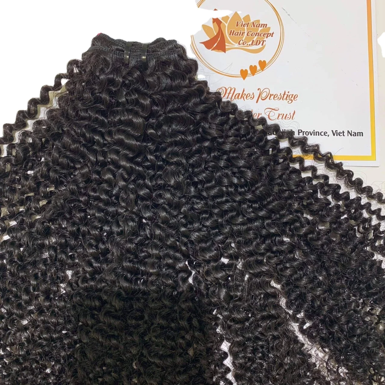 2021 Bulk Hair Extensions Vietnam Human Hair Braiding Bulk Virgin Hair Unprocessed made in Viet Nam concept