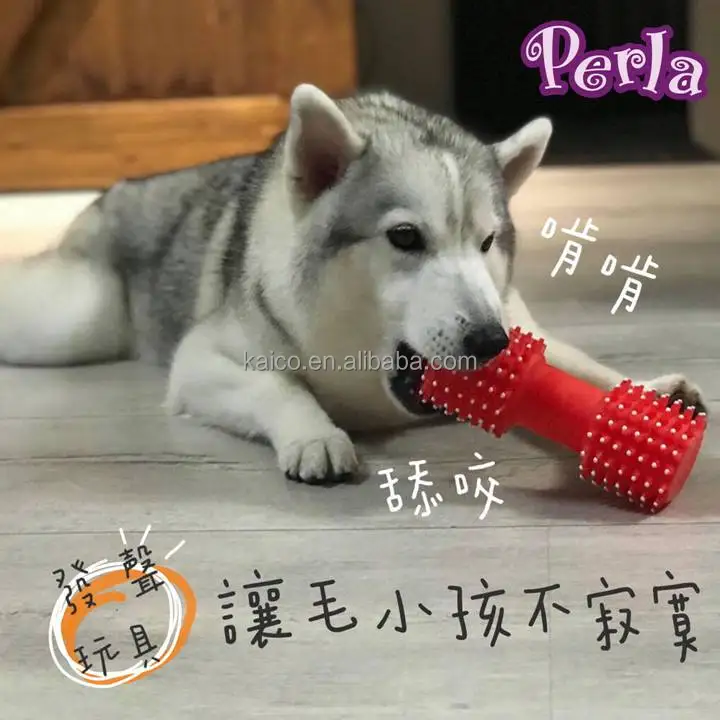 pet Squeak toy interactive vinyl dumbbell dog chew toys home play fun big dog
