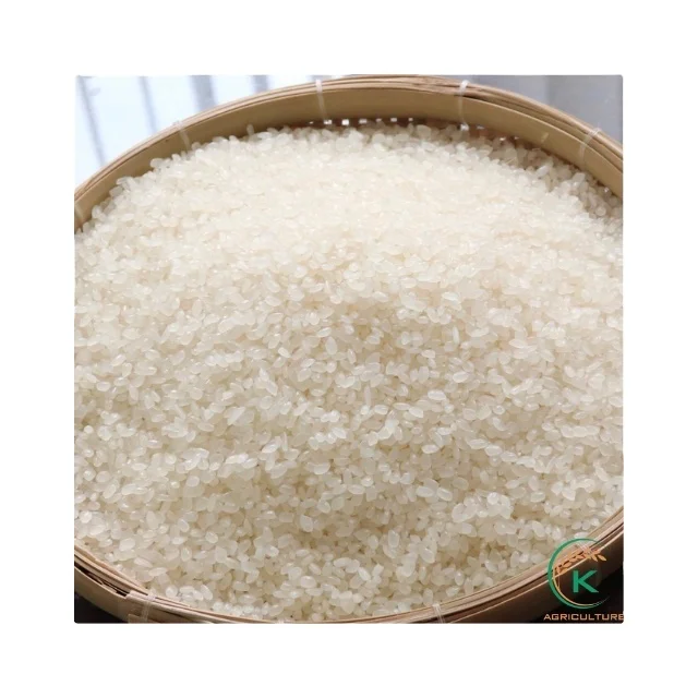 Хорошо обработанный прозрачный зернистый белый рис от вьетнамского профессионального производителя для приготовления пищи