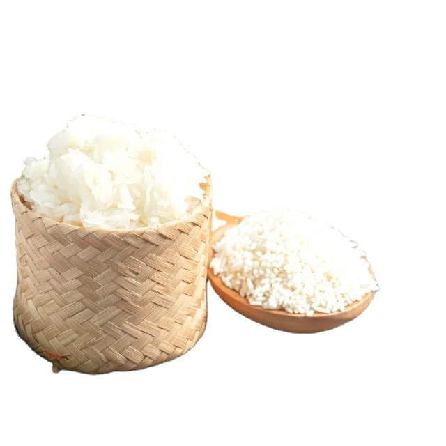 Best Seller Premium Grade Vietnam Japonica Rice Good Price 15% 10% 5% Broken Rice Exporter