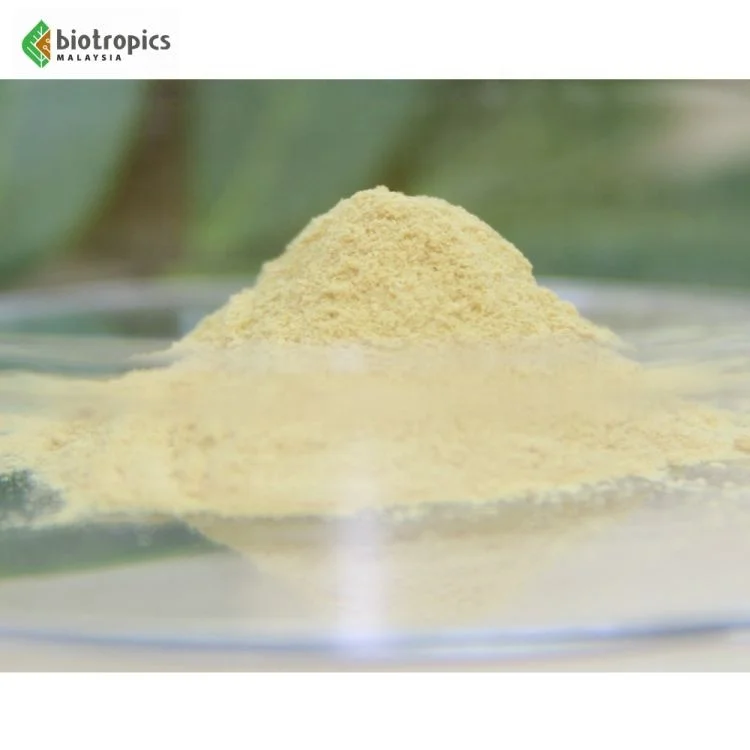 New Tongkat Ali 100% Root Extract Powder from Malaysia Halal Ready to Formulate into Food & Drinks