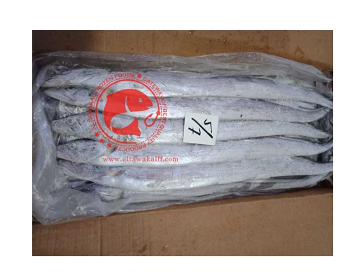 Frozen Ribbon Fish /Best Quality Frozen Seafood Exporter
