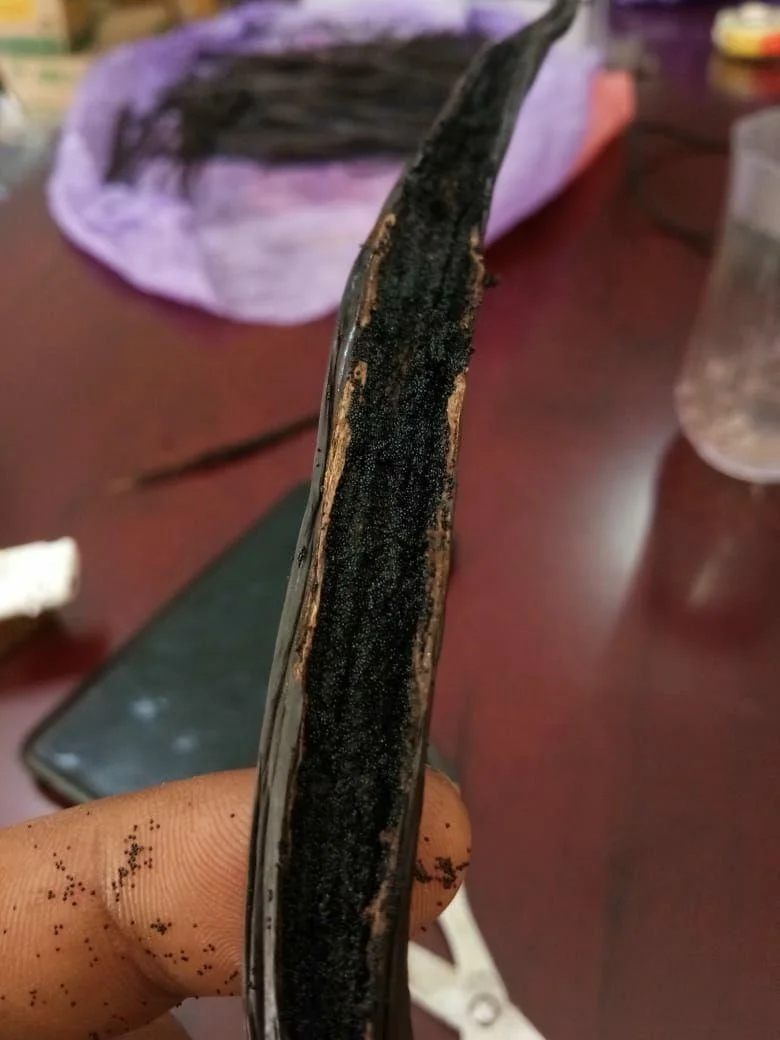 Заводская цена Ванильные бобы доступны в розничной упаковке