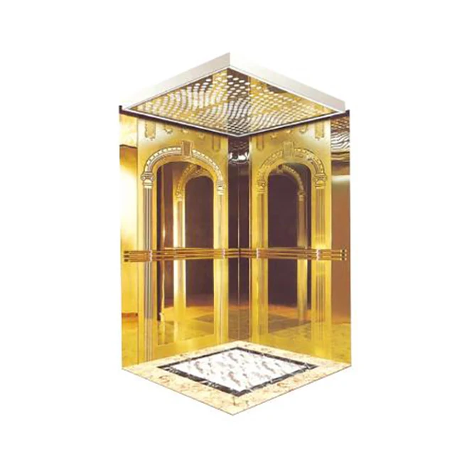 MSDS 630kg 800kg 1000kg Home Elevator Gearless Motor Residential Passenger Elevator