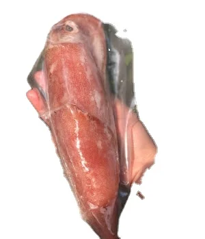 Frozen Long-Barrel Loligo Squid Hight Quality From Viet Nam
