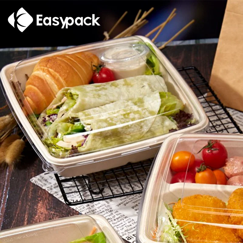 32oz biodegradable food container bagasse packaging for lunch box
