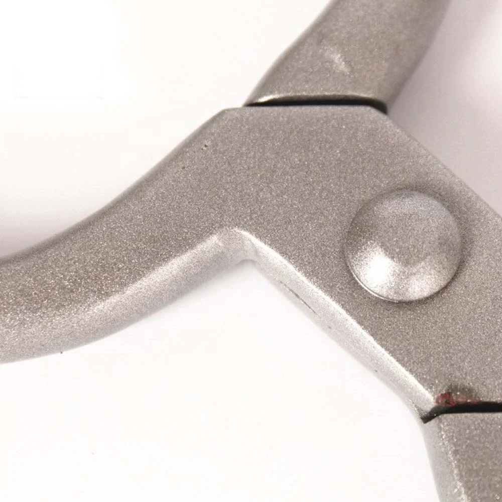 35cm Length Bull-holder, High Performance Veterinary Instrument Cattle Bull Nose Holders Supplier