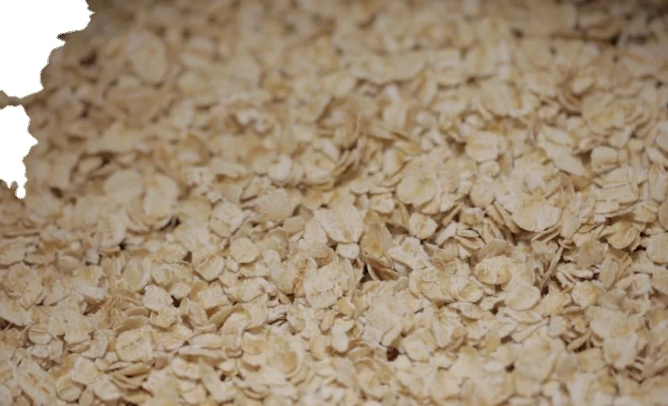 Bulk Supply Wholegrain Organic Rolled Oats