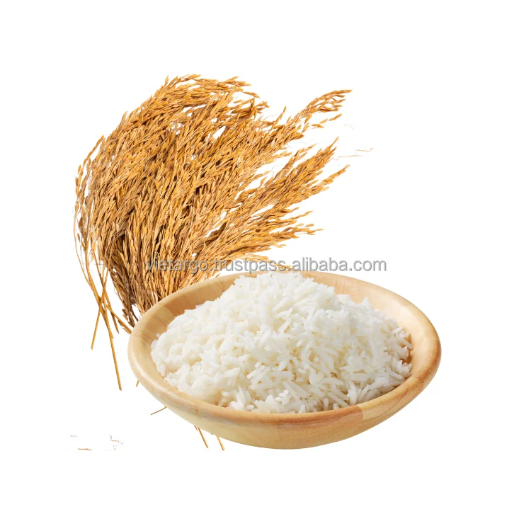 Jasmine Rice Seeds Good Quality Common Aromatic Rice Wholesaler Customized Packaging Vietnam Manufacturer