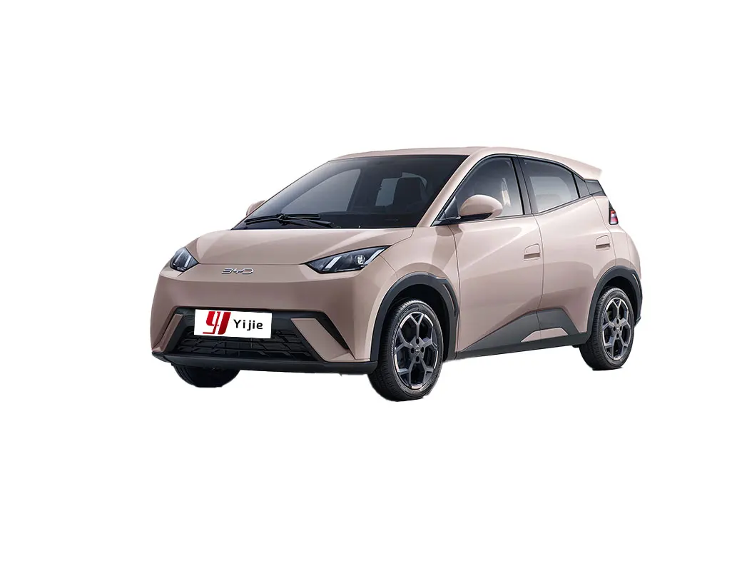 2025 BYD Seagull EV Modern Electric Vehicle New Energy Flying Sea Gull Auto Buy Used Cars