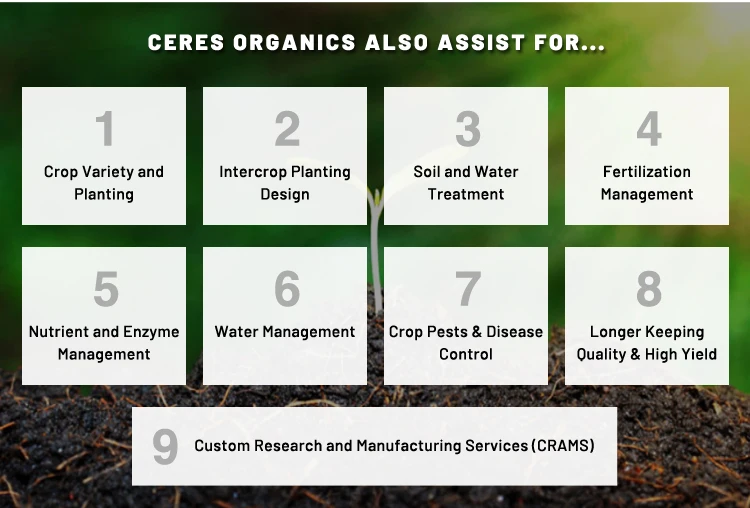 Calcium boron CaliBor Amino Acid Base Calcium White To Off White used in industries 100% organic Indian Wholesaler best quality