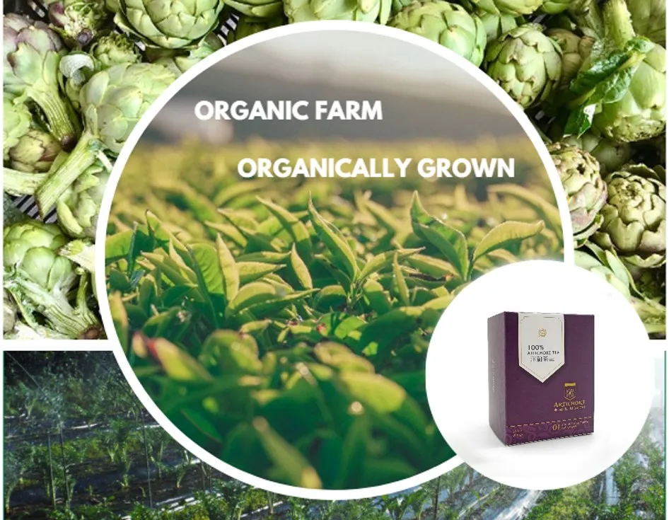 Custom Production For Tea Bags Instant Weight Loss Detox Artichoke Flower Tea