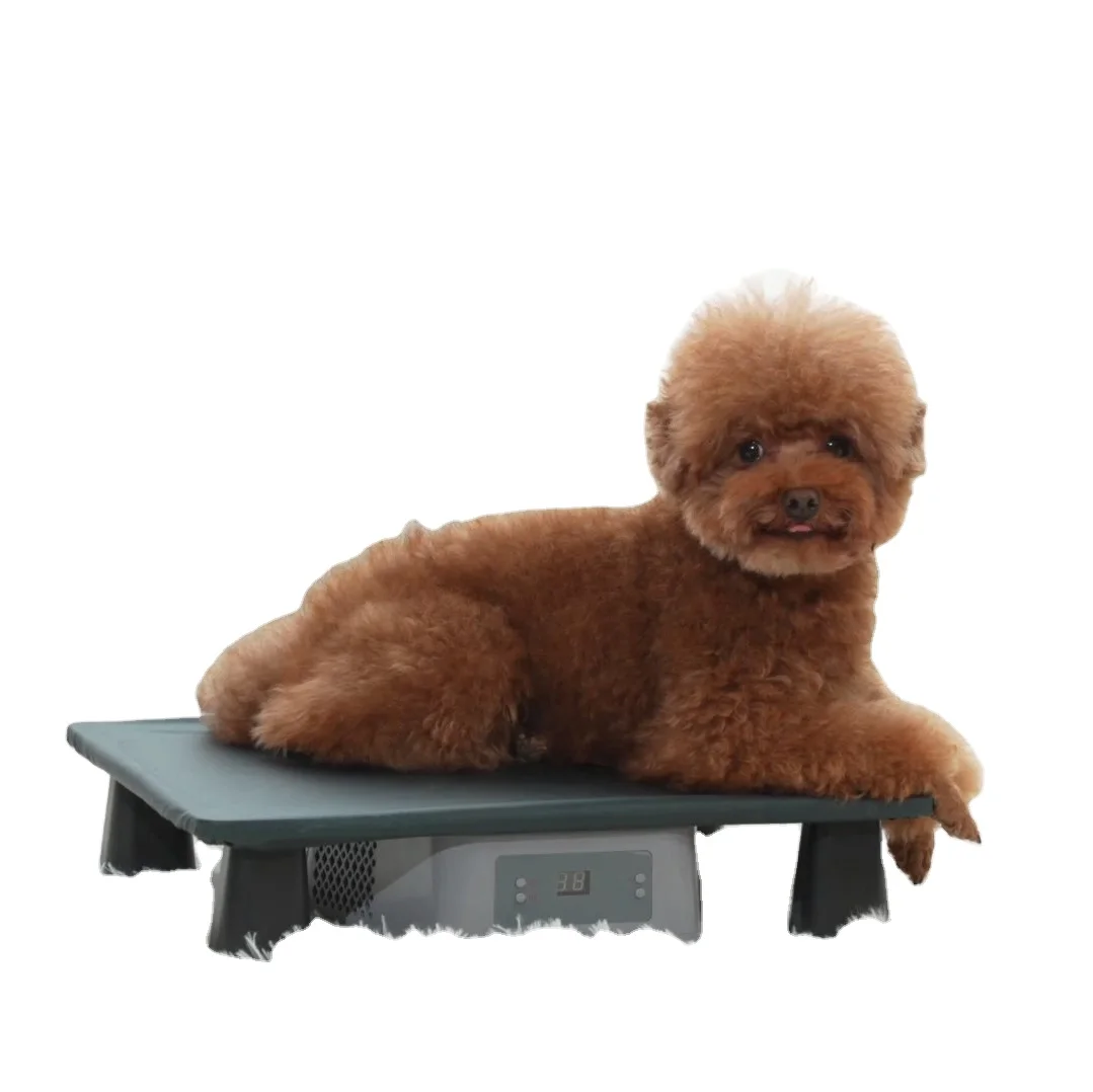 cooler warmer folder able pet house pet bed  for cat and dog bed easy to clean