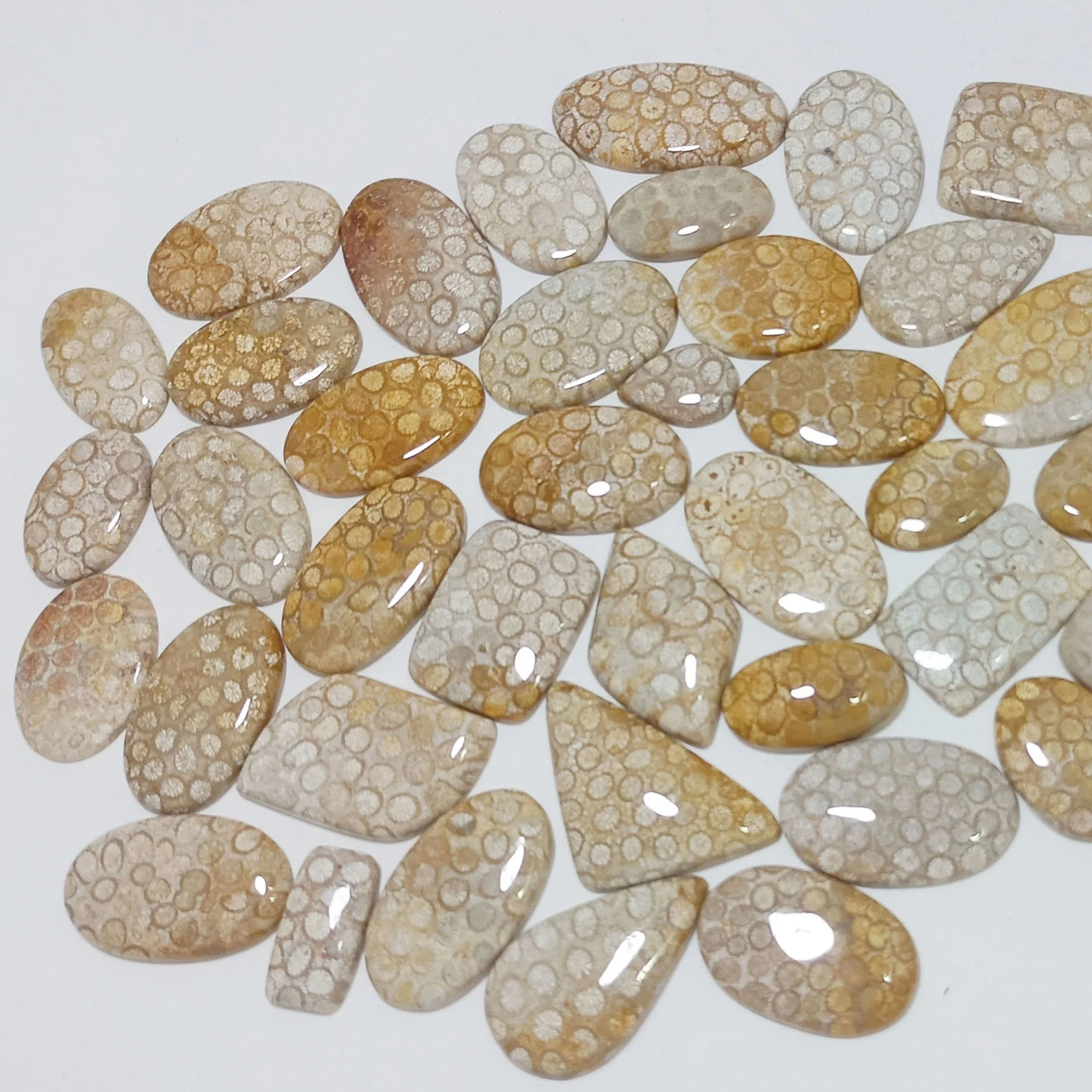 100%Natural Cabochon Free Form Size Coral Cabochon Top Quality Wire wrapping Flat Back Cabochon For Making Jewellery