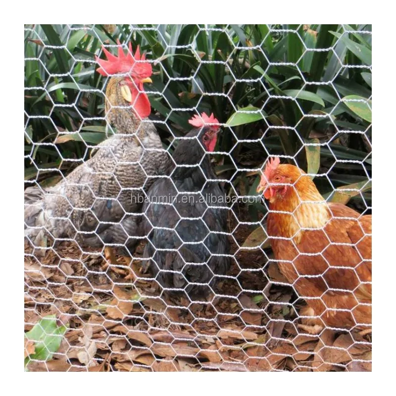 3Ft 4Ft 6Ft High 4ft x 25 M 30mm hole Fishing Lobster Trap Zinc Coated Mesh Fencing Chicken Wire Mesh