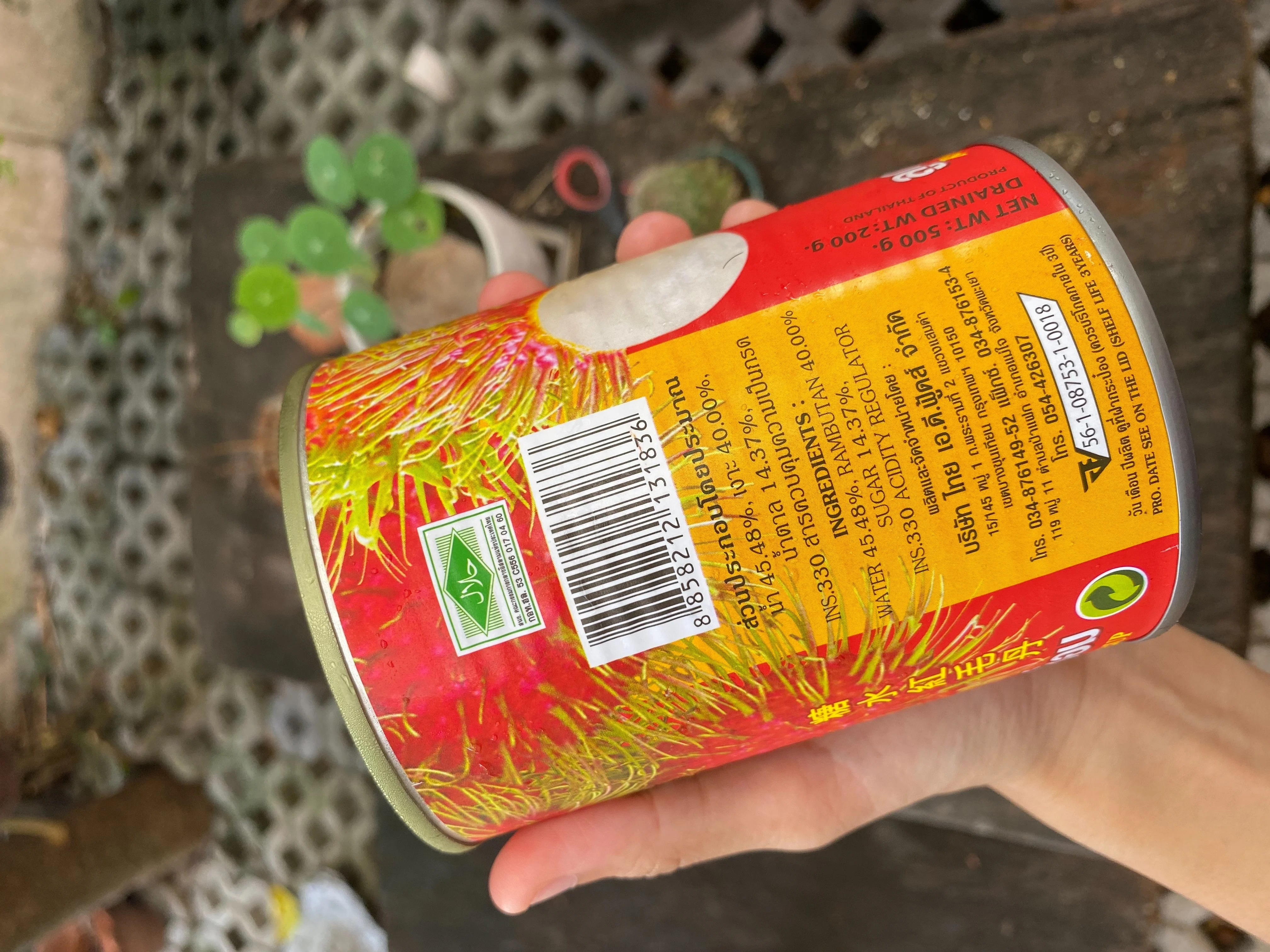 Консервированный Rambutan в сиропе сладко-кислый свежий фруктовый продукт из Таиланда лучший