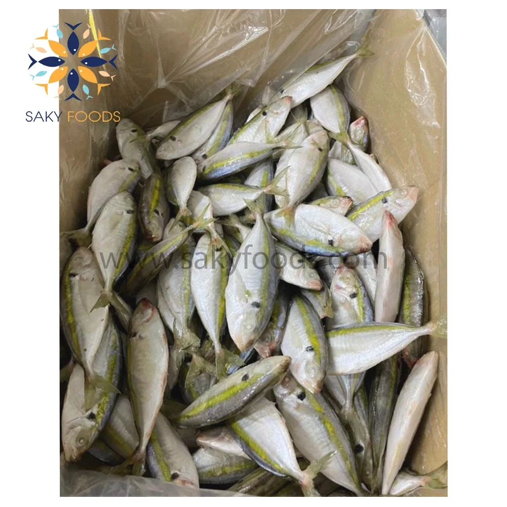 High Quality Seafood Frozen Yellow Stripe trevally fish sale good price