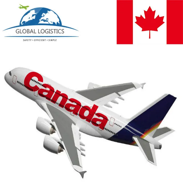 Reliable China Supplier Shipping Agent Ship Cargo To Germany Door To Door Service To Usa