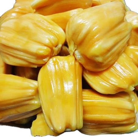 
Vietnam Fresh Jackfruit No chemichals (WS: +84904230236) 