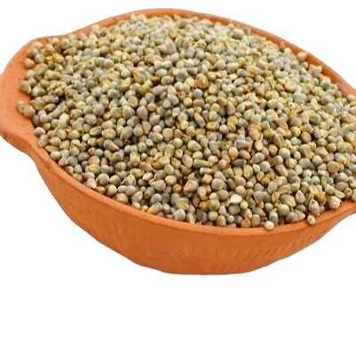 High quality natural green millet bajra at wholesale cheap Price Available for sale