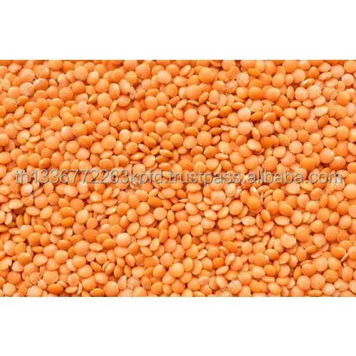 red-lentils-500x500.jpg