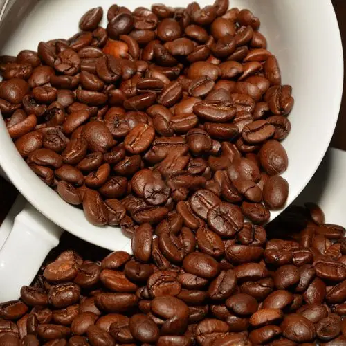 Оптовая продажа сухие высококачественные кофейные зерна Сыпучие Robusta Vienam лучший кофе для напитков готовый