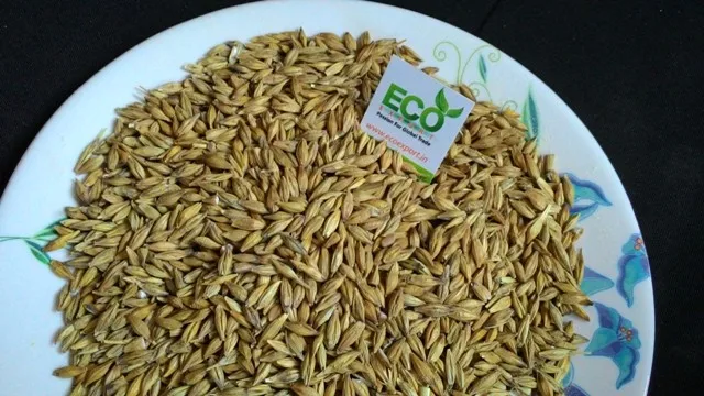 Натуральный ячмень-сырец высшего