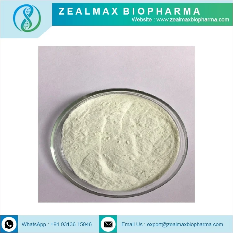 Активный продукт для фермента лактазы покупайте по оптовой цене-Zealmax Biopharma