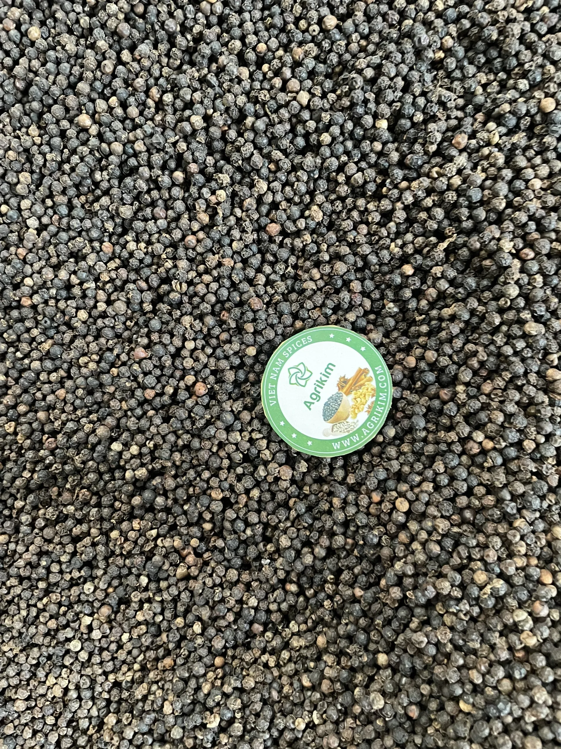 PREMIUM BLACK PEPPER 500, 550, 570, 580G/L GREAT FLAVOR BLACK PEPPER FOR GLOBAL MARKET