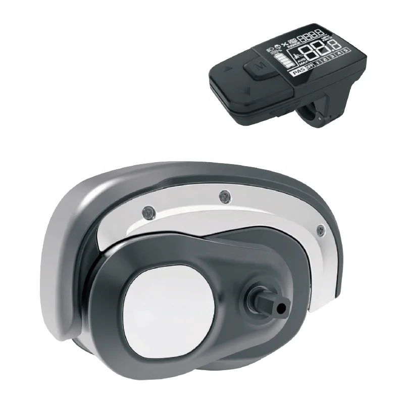 Bike Motor Electric Bicycle Motor MTB City Road Front Rear Brushless Fat Bike Hub Motor Available 250 350 500 750 1000W 36 48V