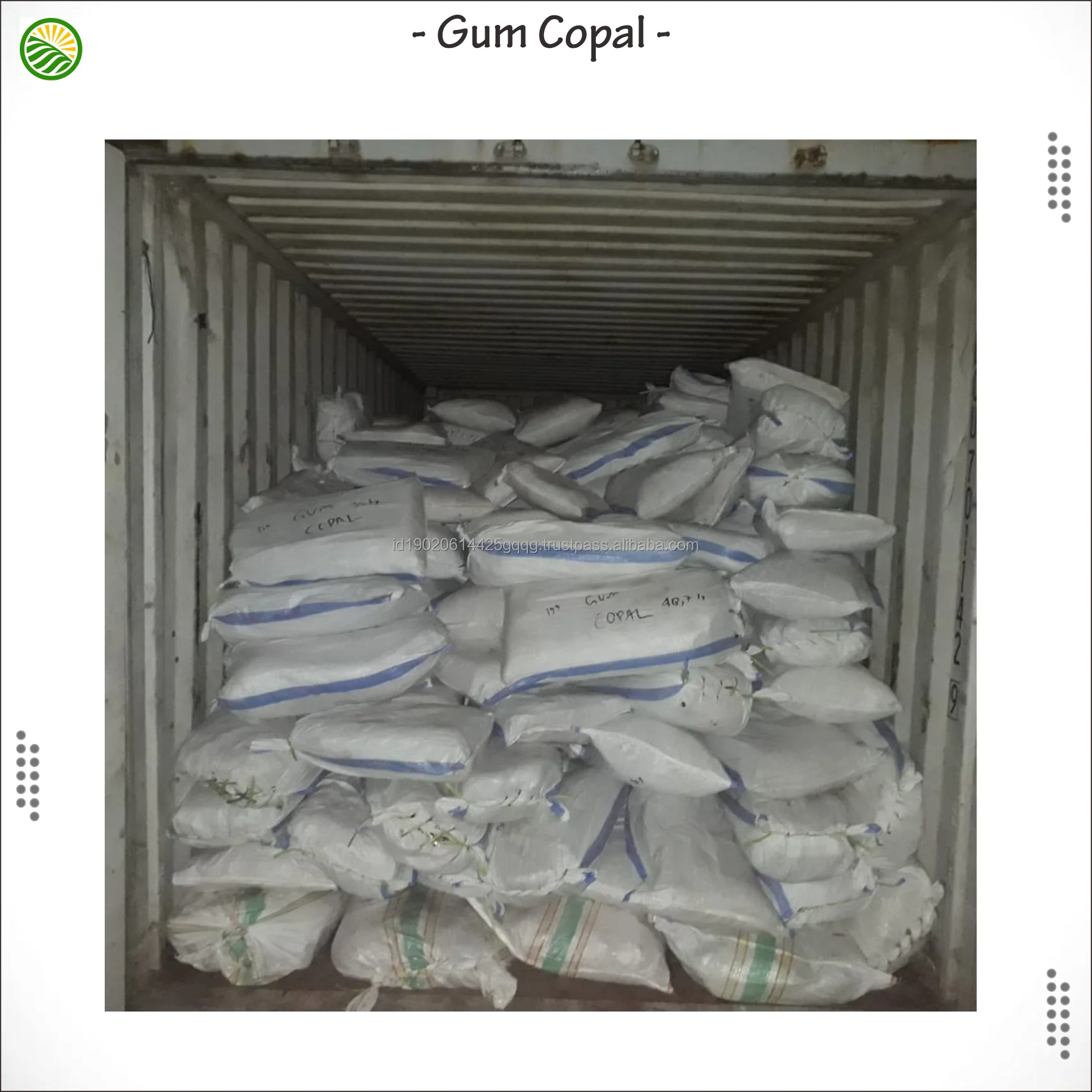 gum copal 6.png