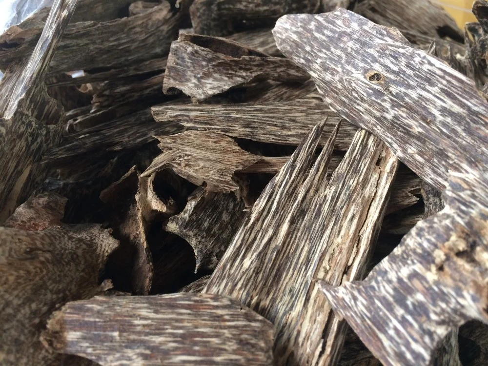 Tram Tue Oud Oudy Wood Chips creating by ant from Vietnam for making Oudh Incense