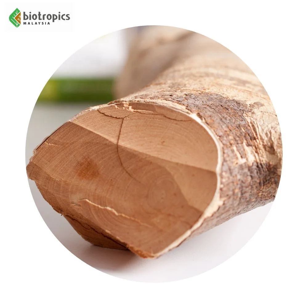 Science-Backed New Bulk Extract Tongkat Ali (Malaysian Ginseng) Root Powder Supplement Wild-Cultivated for Health & Wellness