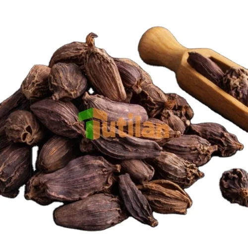 TOP SALE SINGLE SPICES & HERBS HIGH QUALITY NATURAL CARDAMOM