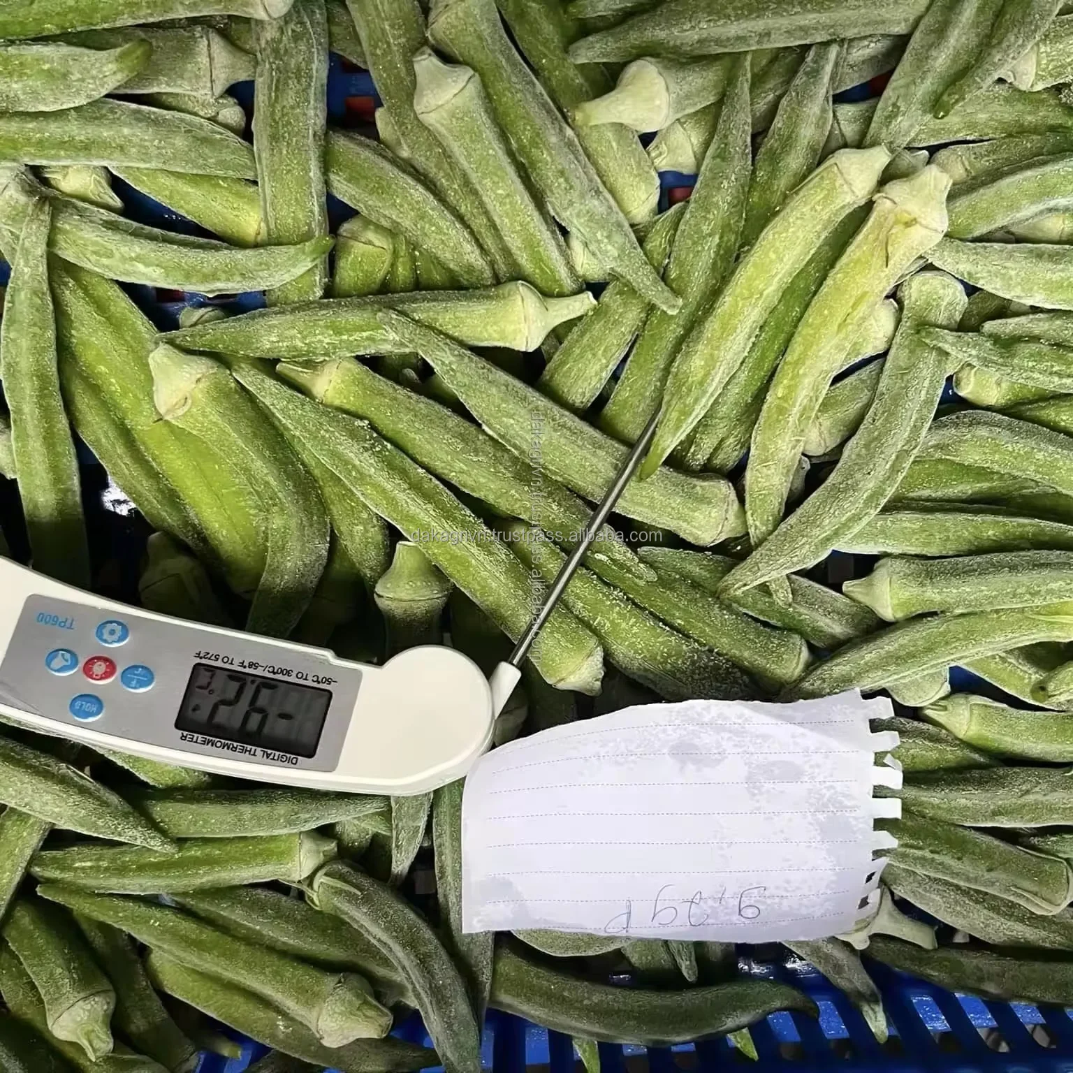 IQF 100% OEM замороженная бамия вьетнамский новый продукт оптом новые качественные овощи замороженные бамии