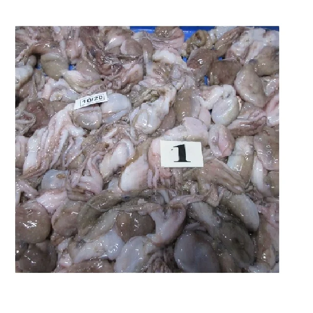 FROZEN OCTOPUS WHOLE FROM INDIA