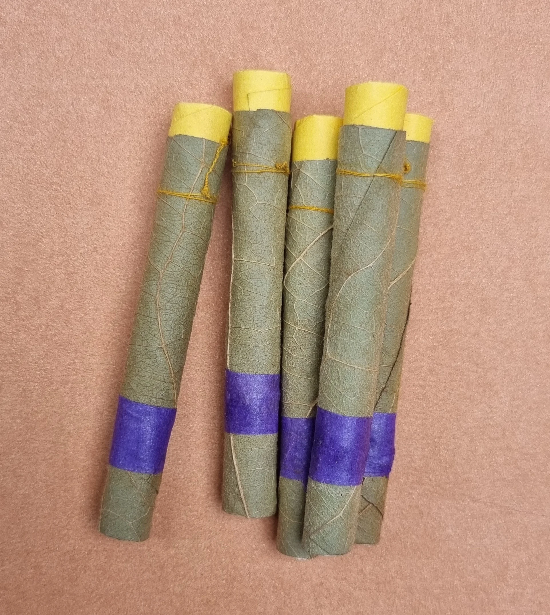 Зеленые и свежие Предварительно скрученные листья cordia tendu все ssizes по лучшим ценам Cordia