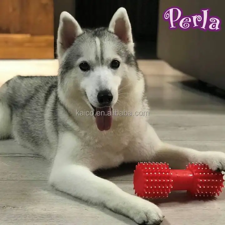 pet Squeak toy interactive vinyl dumbbell dog chew toys home play fun big dog