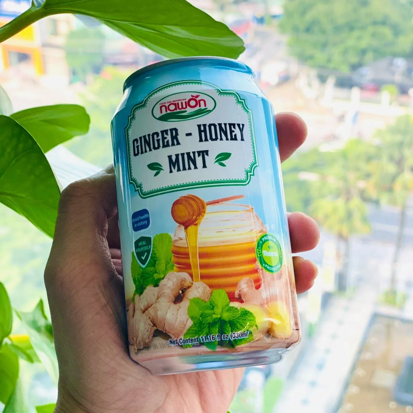 Ginger Honey Lemon Drinks Nfc 330ml Canned Ready to Drinks Healthy Fruit Juice Vietnam Wholesale Supplier HALAL HACCP Certified