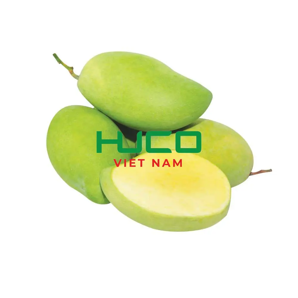 Best price Fresh Mango High Quality Exporter from Vietnam