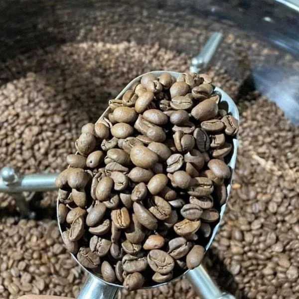 Commercial Stainless Steel 30 Kg Roaster For Coffee Bean with Chaff Collector