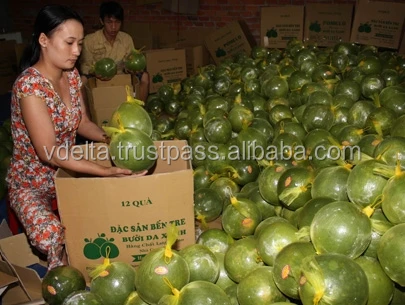 Лидер продаж помело из 2022 зеленой кожи сделано в Вьетнаме Заводская цена и премиальное качество/Nick + 84 971 640