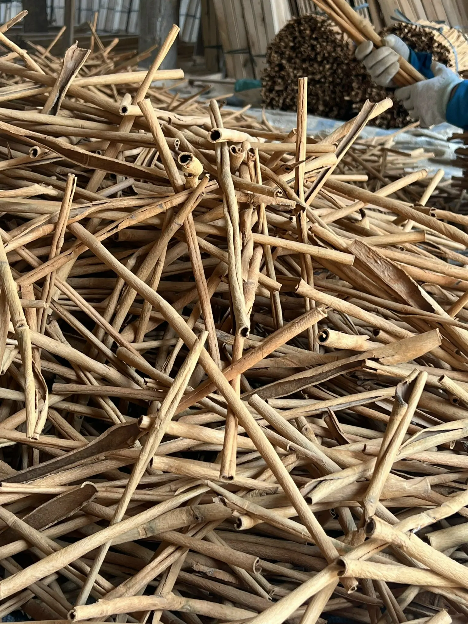 cigarette cassia sticks Hot product spices & herbs100% Natural Dried Cinnamon from Vietnam(+84 393 411 961)